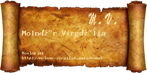 Molnár Virgília névjegykártya
